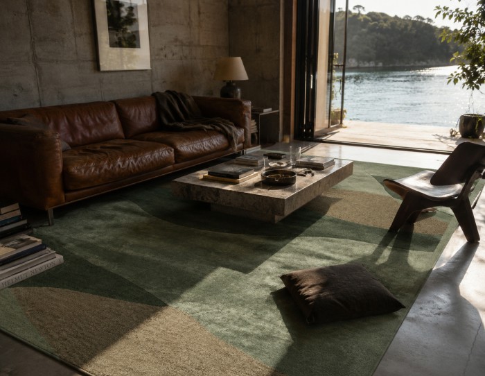 green carpets on brown leather sofa